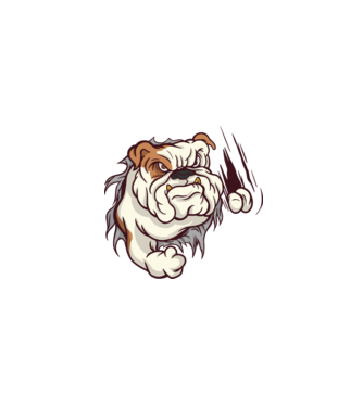 Bulldog model alb pe tricou
