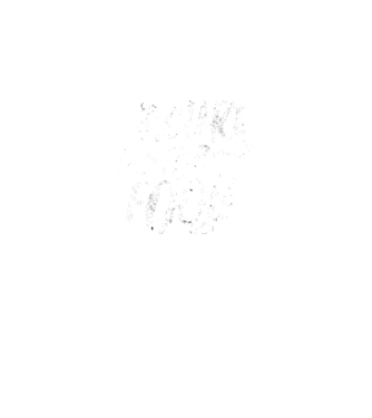 No cure for Fools - Nu există leac pentru proști model negru pe tricou