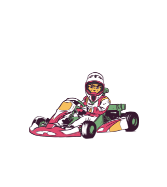 Pisică gokart model turcoaz pe tricou