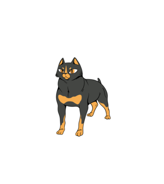 Rottweiler pisică model gri pe tricou