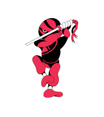 Ninja model alb pe tricou