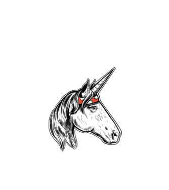 Cal Unicorn model turcoaz pe tricou