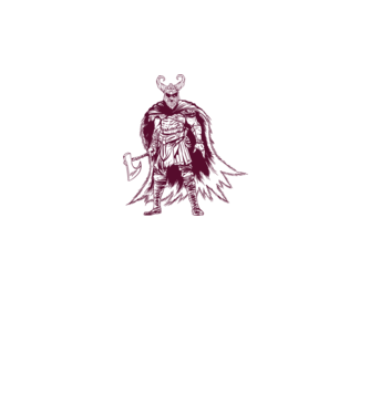 Războinic Odin Viking model alb pe tricou