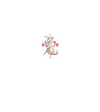 Year of the Rabbit model negru pe tricou