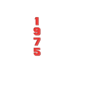1975 the birth of legends model negru pe tricou
