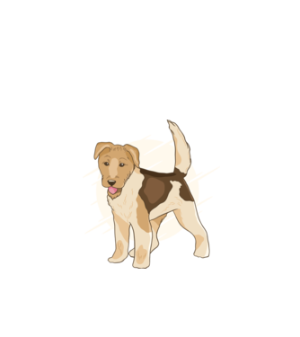 Fox Terrier model negru pe tricou