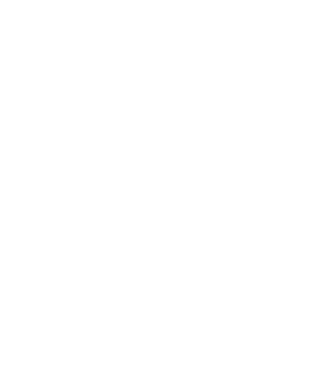 Taur puternic model turcoaz pe tricou