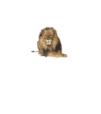 lion king model gri pe tricou