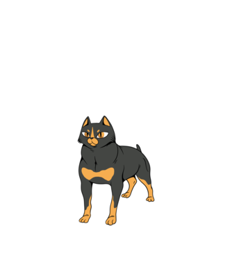 Rottweiler pisică model nisipiu pe tricou