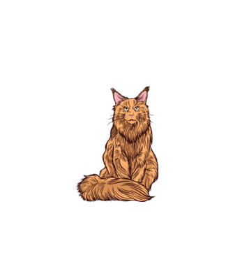 Pisică Maine Coon model negru pe tricou