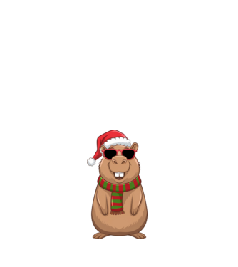 Crăciunul capybara model alb pe tricou