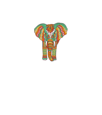 Mandala Elefant model alb pe tricou