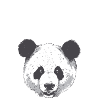 Cap de panda model alb pe tricou