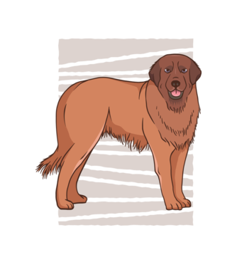 Câine ciobănesc Leonberg model alb pe tricou