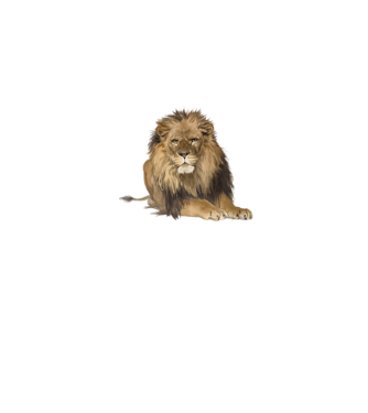 lion king model gri pe tricou