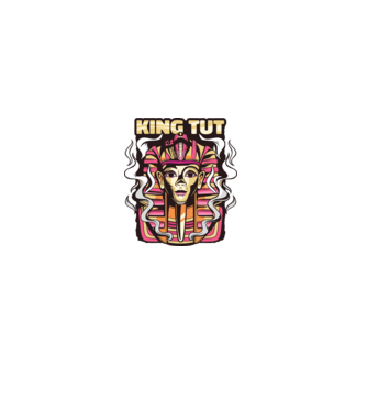 King Tut - Faraonul Tutankhamon model gri pe tricou