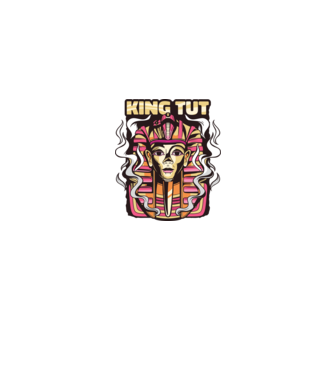 King Tut - Faraonul Tutankhamon model gri pe tricou
