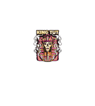 King Tut - Faraonul Tutankhamon model gri pe tricou
