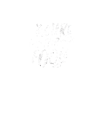 No cure for Fools - Nu există leac pentru proști model turcoaz pe tricou
