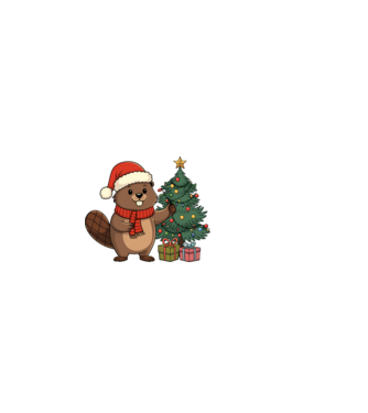 Bober Kurwa Christmas 2 model alb pe tricou