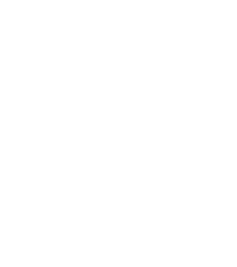 Craniu Viking model turcoaz pe tricou