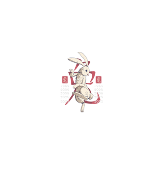 Year of the Rabbit model negru pe tricou