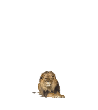 lion king model alb pe tricou