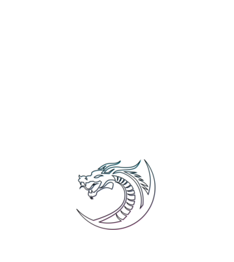 Dragon Tribal model negru pe tricou