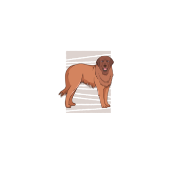 Câine ciobănesc Leonberg model albastru jeanși pe tricou