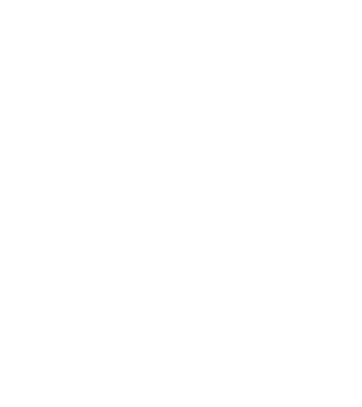 Taur puternic model alb pe tricou