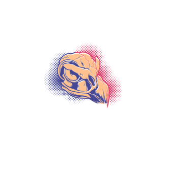 Bird skull model alb pe tricou