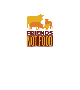 Friends not Food Vegán model nisipiu pe tricou