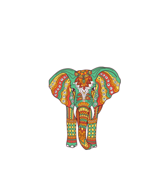 Mandala Elefant model alb pe tricou