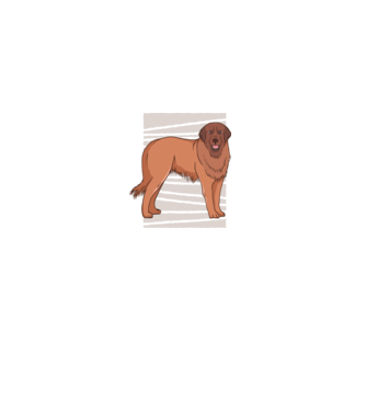 Câine ciobănesc Leonberg model negru pe tricou