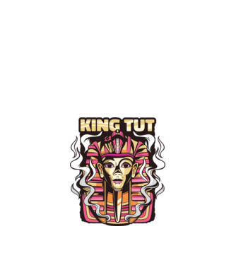 King Tut - Faraonul Tutankhamon model nisipiu pe tricou