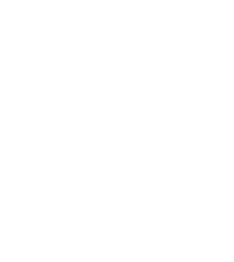 Love hochei model turcoaz pe tricou