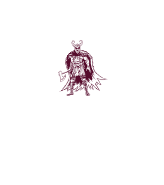 Războinic Odin Viking model alb pe tricou