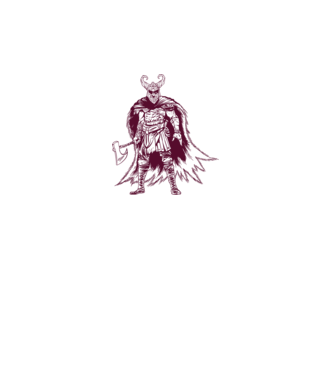 Războinic Odin Viking model alb pe tricou