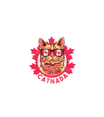 Catnada model alb pe tricou