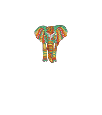 Mandala Elefant model alb pe tricou