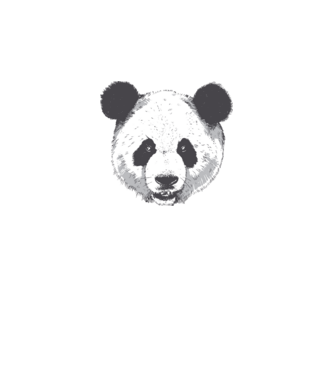 Cap de panda model alb pe tricou