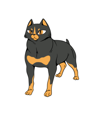 Rottweiler pisică model alb pe tricou