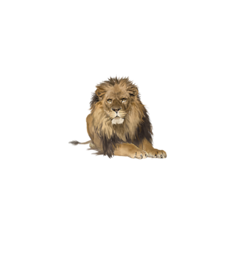 lion king model gri pe tricou
