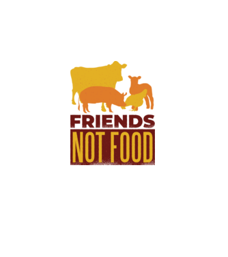 Friends not Food Vegán model gri pe tricou