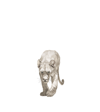 white lion model negru pe tricou