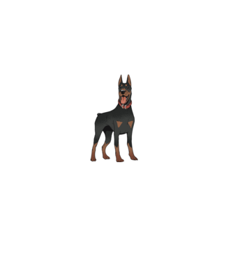 Tricou cu câine dobermann model albastru deschis pe tricou
