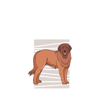 Câine ciobănesc Leonberg model negru pe tricou