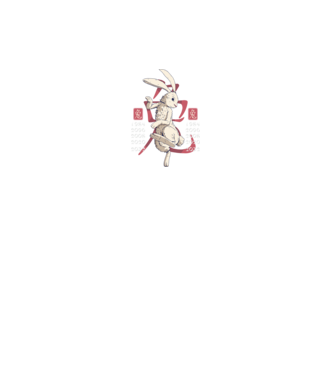 Year of the Rabbit model negru pe tricou