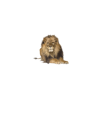 lion king model gri pe tricou