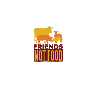 Friends not Food Vegán model gri pe tricou